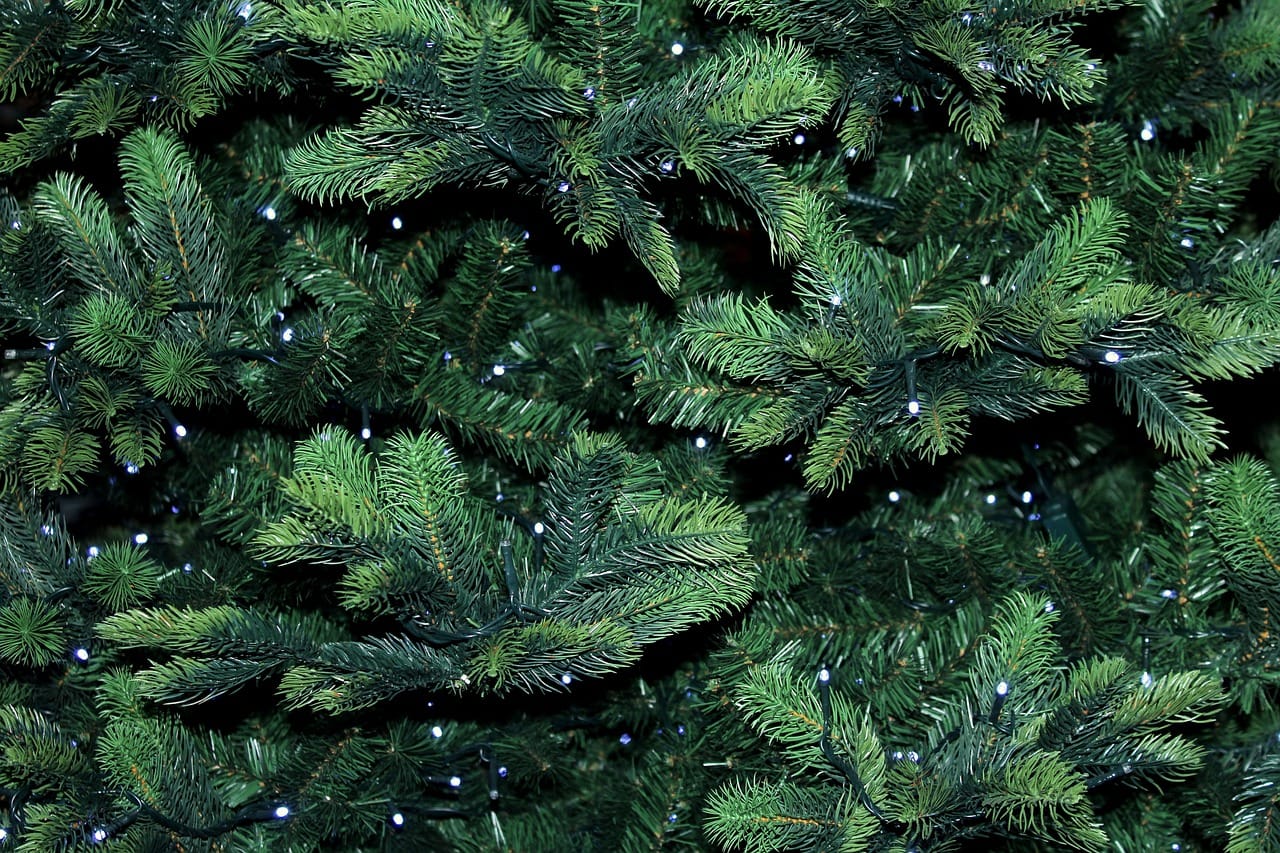this image shows bush Christmas lights in Loomis, CA