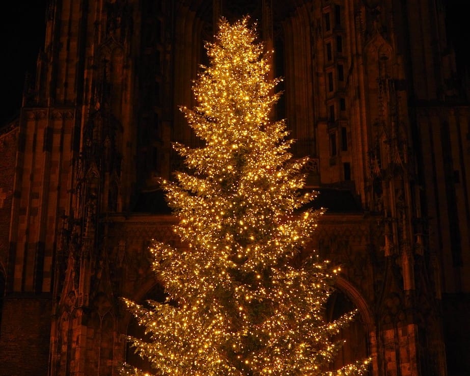 this image shows tree Christmas lights in Loomis, CA