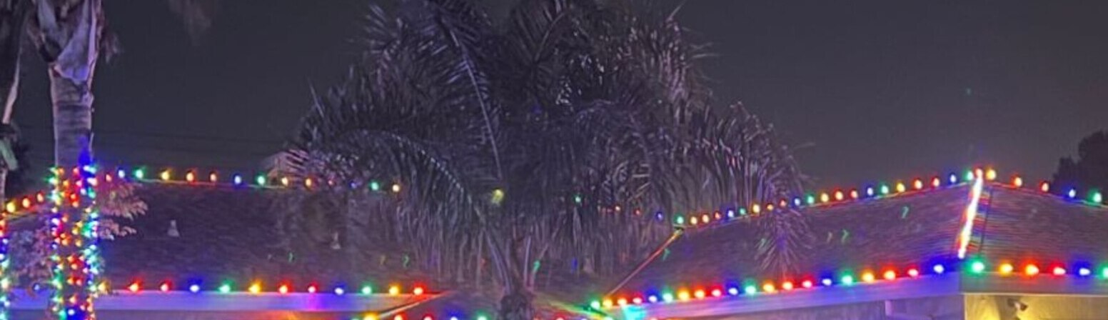 Christmas light service in Rocklin, CA: multicolor c9 eave run palm wrap